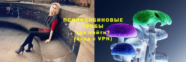 2c-b Арсеньев