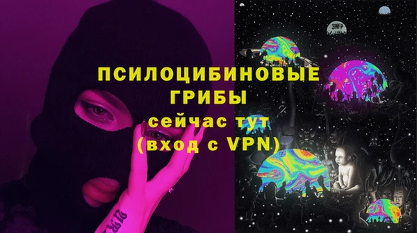бошки Балахна